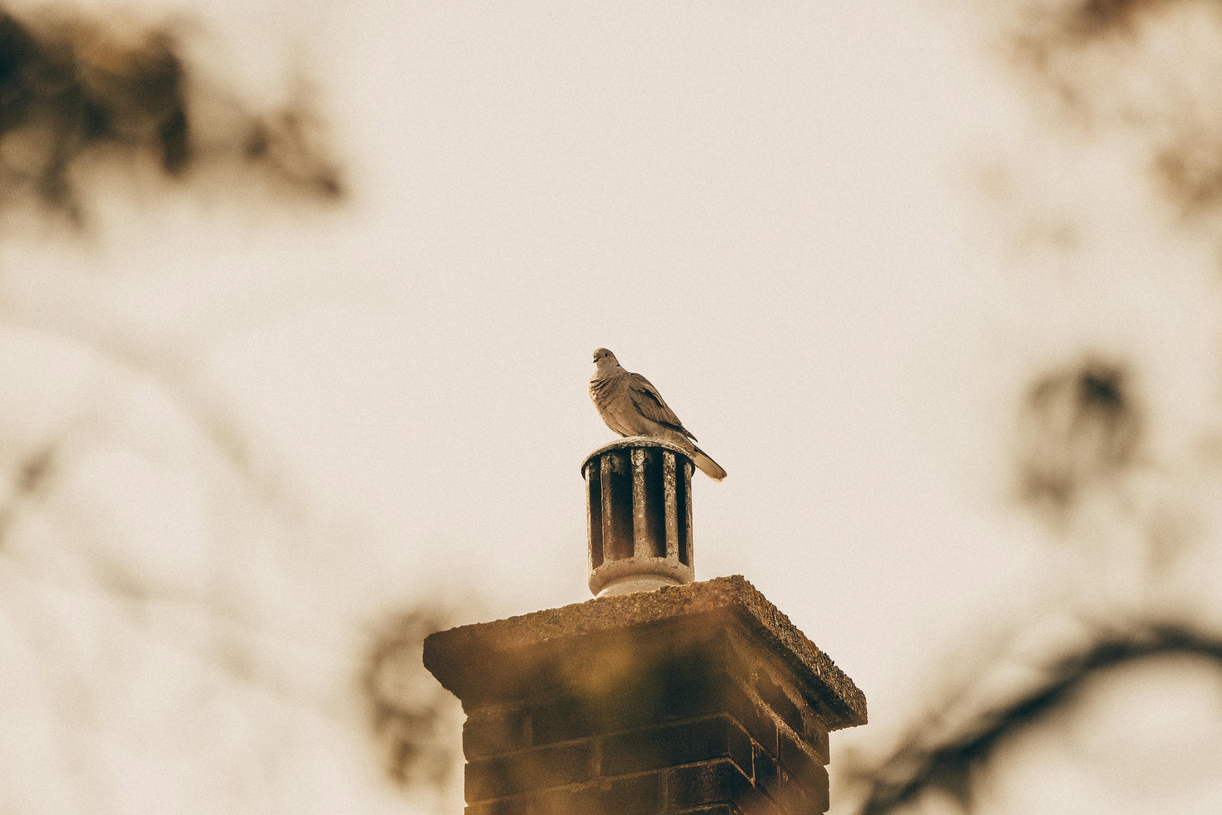 Expert Chimney Cap Installation in Boyds, Maryland